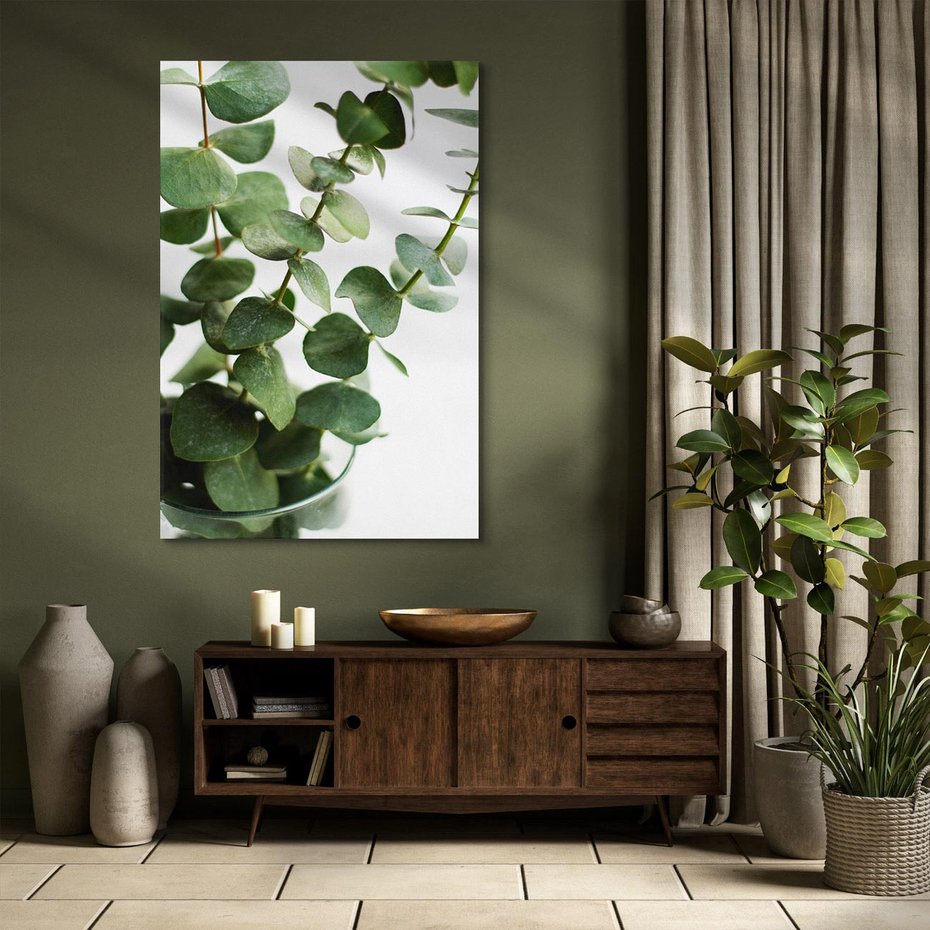 Obraz na płótnie 50x70 - Zielone eukaliptusy - eukaliptus, liście