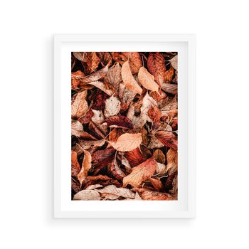 Plakat w ramie 30x40 - Magia Jesiennej Ziemi - liście, jesień - rama biała
