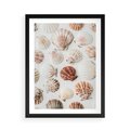 Plakat w ramie 50x70 - Morska Delikatność: Muszelki na Białym Tle - kompozycja, morskie muszelki na białym tle - rama czarna