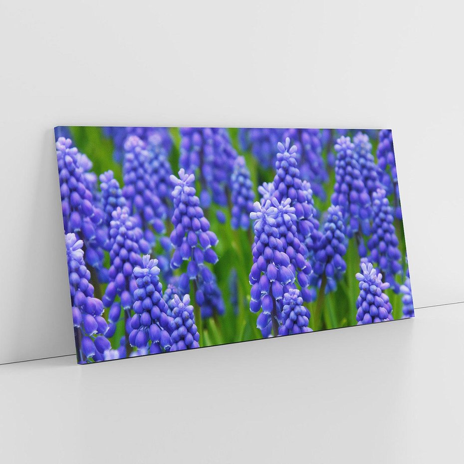 Obraz na płótnie 100x50 - Urok Lawendy - lawenda, kwiat