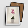Plakat w ramie 50x70 - Delikatność storczyka orchidei - storczyk, orchidea - rama czarna