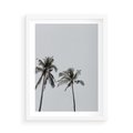 Plakat w ramie 50x70 - Tropikalny Raj: Palmy i Niebo - palmy, niebo - rama biała