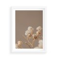 Plakat w ramie 50x70 - Przezroczyste piękno - gipsówka, suche - rama biała