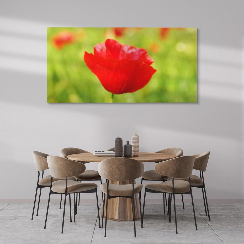 Obraz na płótnie 140x70 - Magia maku na łące - mak, łąka