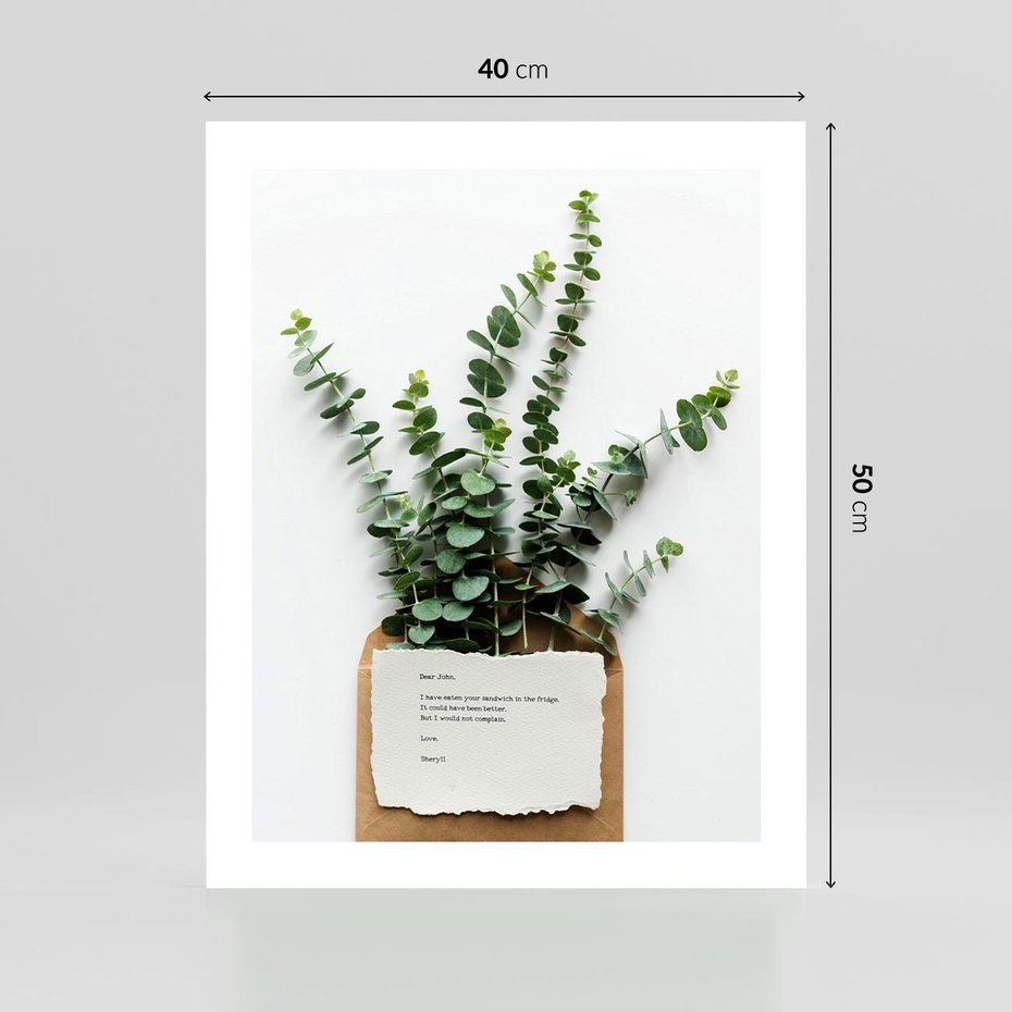 Plakat bez ramy 40x50 - Eukaliptusowa harmonia - eukaliptus, liście