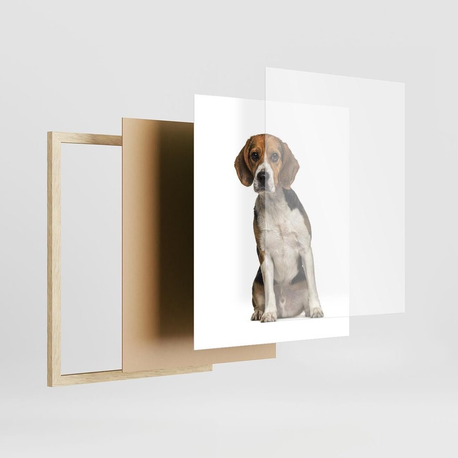 Plakat w ramie 40x50 - Wierność i radość - pies, piesek - rama drewno