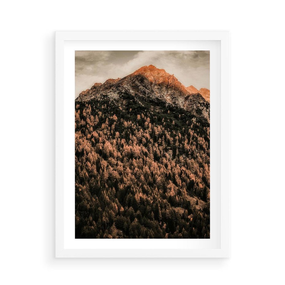 Plakat w ramie 50x70 - Jesienna Godzina w Górach - góry, las w górach - rama biała