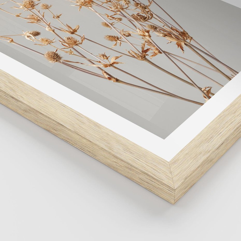 Plakat w ramie 50x70 - Delikatne gipsówki - gipsówka, suche - rama drewno