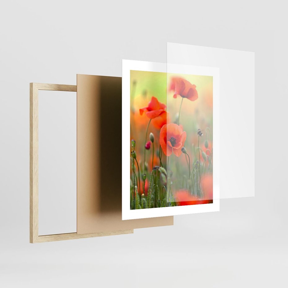 Plakat w ramie 40x50 - Makowa Pasja - maki, kwiaty - rama drewno