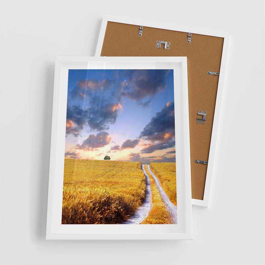 Plakat w ramie 50x70 - Magiczna droga w lesie - droga, ścieżka - rama biała