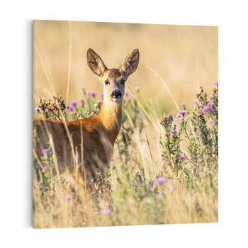 Obraz na płótnie 40x40 - Sarenka na malowniczej łące - sarna, sarenka