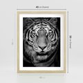 Plakat w ramie 40x50 - Tygrys Czarno-Biały: Siła i Delikatność - tygrys, czarno - rama drewno