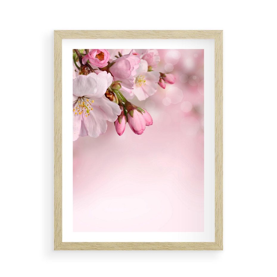 Plakat w ramie 50x70 - Kwitnąca wiśnia: delikatność natury - kwitnąca, wiśnia - rama drewno