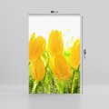 Obraz na płótnie 80x120 - Tulipany - szczyt kwiatowego piękna - tulipany, kwiaty