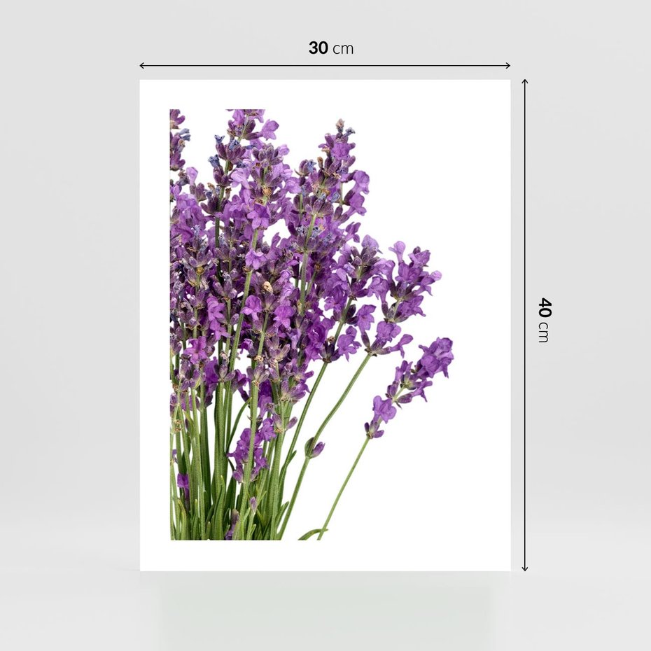 Plakat bez ramy 30x40 - Pola lawendy w pełnym rozkwicie - lawenda, kwiaty