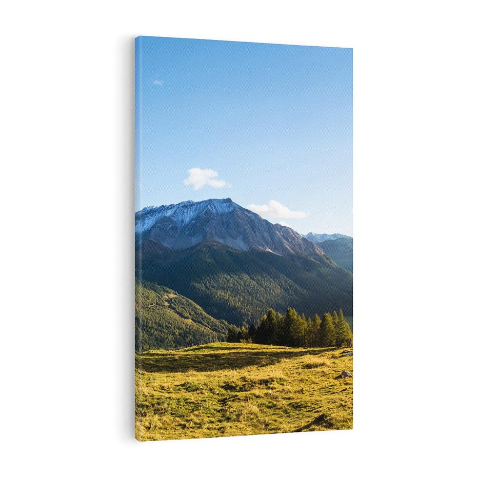Obraz na płótnie 70x100 - Górski pejzaż: łąka i szczyty - góry, łąka