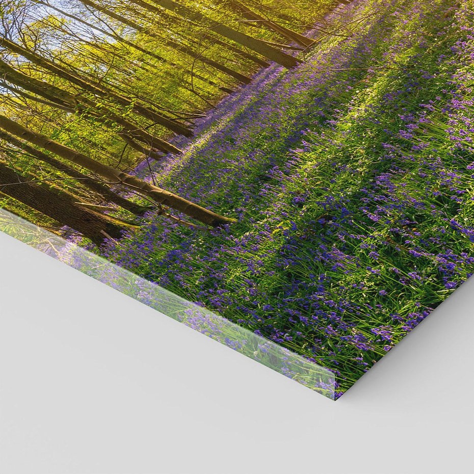 Obraz na płótnie 100x70 - Uroda lasu: harmonia drzew - las, drzewa