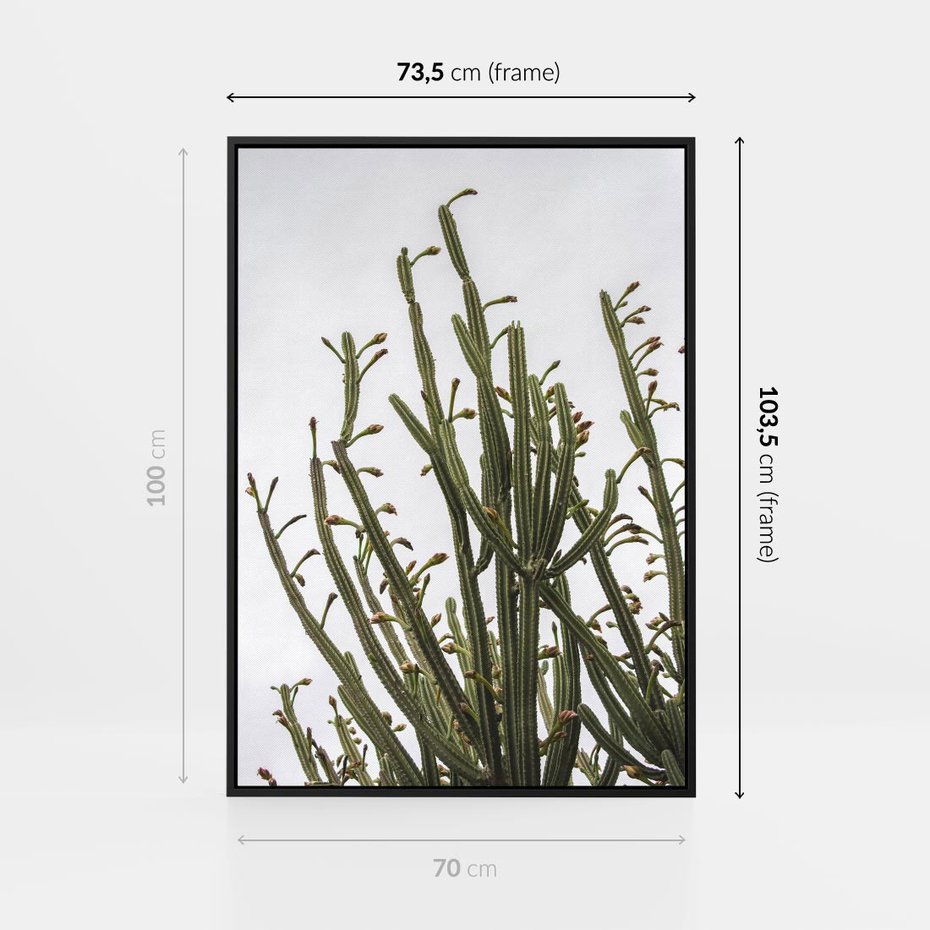Obraz w ramie 70x100 - Ekskluzywna Roślinność - kaktusy, liście - rama czarna