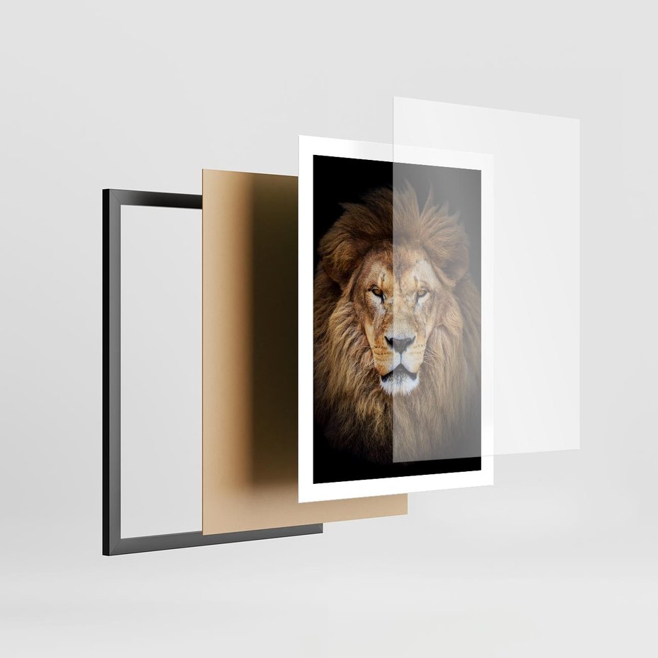 Plakat w ramie 50x70 - Król zwierząt w majestatycznym stylu - lew, król - rama czarna