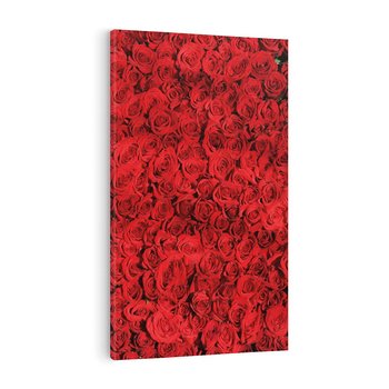 Obraz na płótnie 80x120 - Czerwona Pasja - czerwone, róże