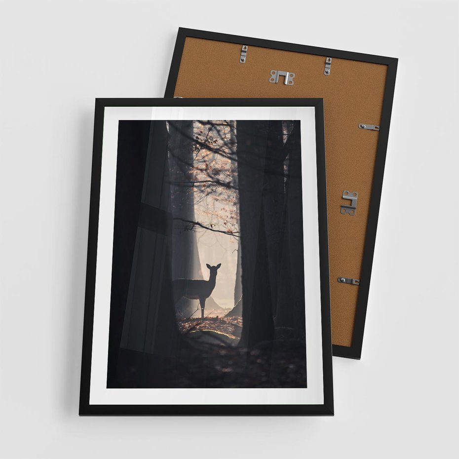 Plakat w ramie 50x70 - Sarnie Skoki - zdjęcie, klimatyczny las - rama czarna