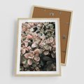 Plakat w ramie 50x70 - Sukulentowa Prostota - sukulenty, zielone liście - rama drewno
