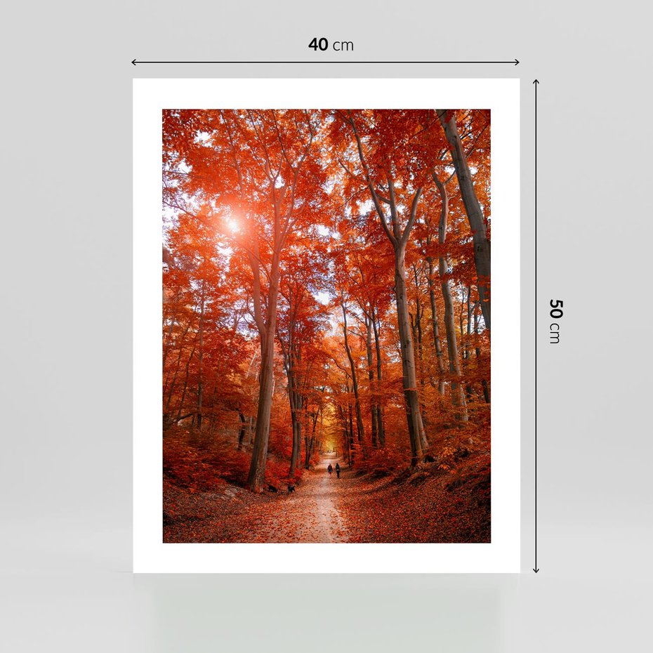 Plakat bez ramy 40x50 - Magia jesiennego lasu - las, jesień