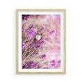 Plakat w ramie 50x70 - Majestat lawendy: fioletowe pola - lawenda, fiolet - rama drewno