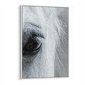 Obraz w ramie 50x70 - Oko Mocy - czarno białe zdjęcie, zbliżenie makro na oko konia - rama biała