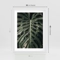 Plakat w ramie 30x40 - Majestatyczny Liść Monstery - liść monstery, majestatyczny liść - rama biała