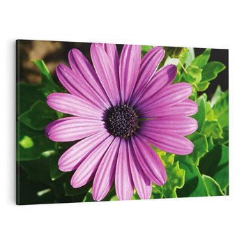 Obraz na płótnie 120x80 - Kwiatowy Dotyk - kwiat, kwiaty