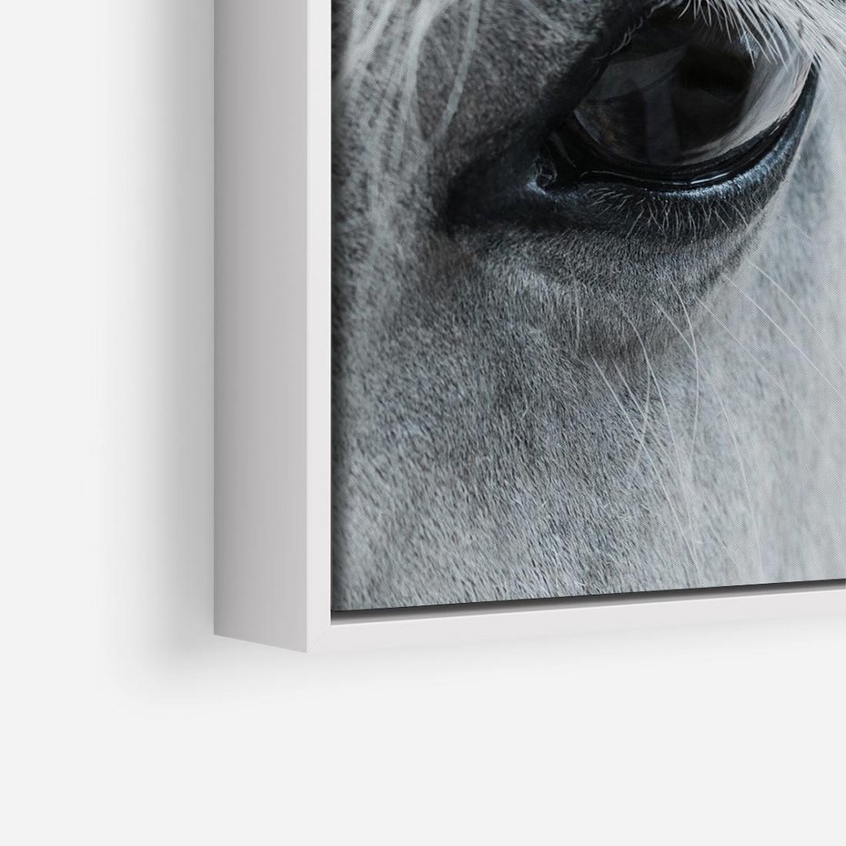 Obraz w ramie 80x80 - Oko Mocy - czarno białe zdjęcie, zbliżenie makro na oko konia - rama biała