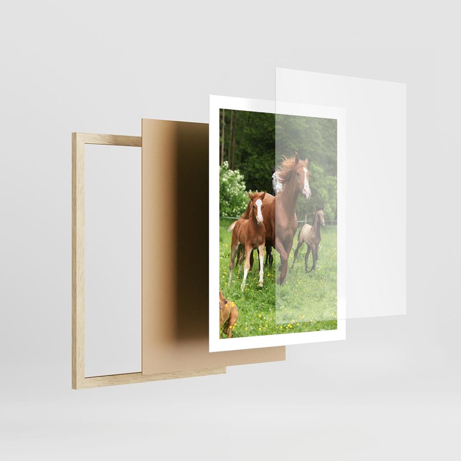Plakat w ramie 50x70 - Galopujące konie - konie, galop - rama drewno