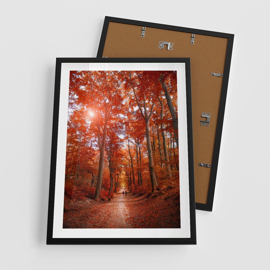 Plakat w ramie 50x70 - Magia jesiennego lasu - las, jesień - rama czarna