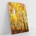 Obraz na płótnie 70x100 - Jesienny Las - Kolorowa Paleta Natury - jesień, drzewa