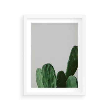 Plakat w ramie 50x70 - Majestatyczne Wysokości - kaktusy, liście - rama biała