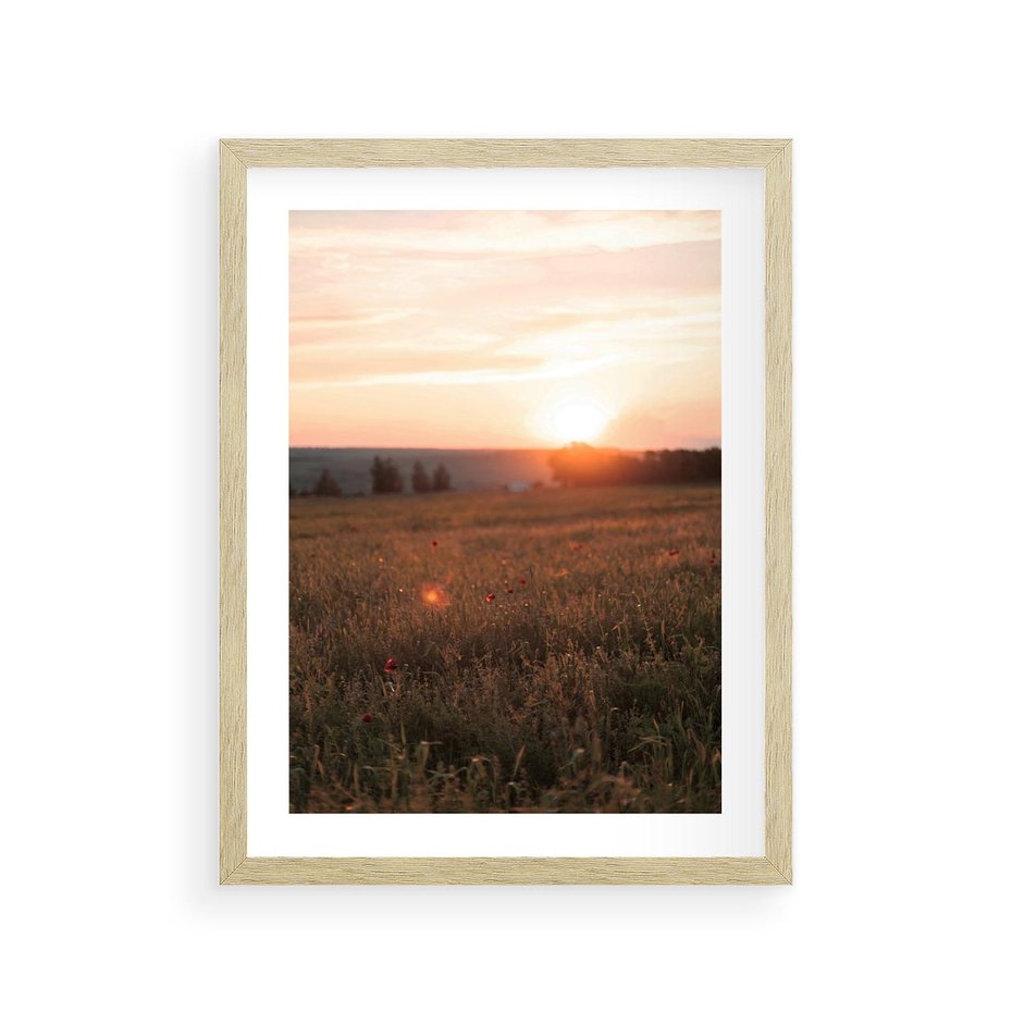Plakat w ramie 30x40 - Łąka we Wschodzącym Słońcu: Magia Poranka - łąka, krajobraz - rama drewno