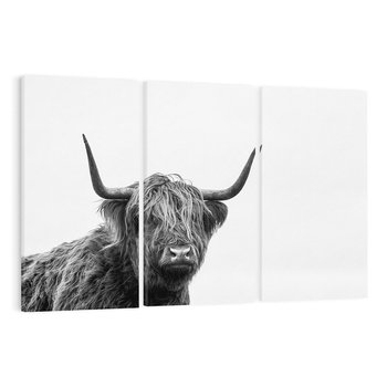 Obraz na płótnie 120x80 - Moc i Spokój - amerykańskie bydło, byk