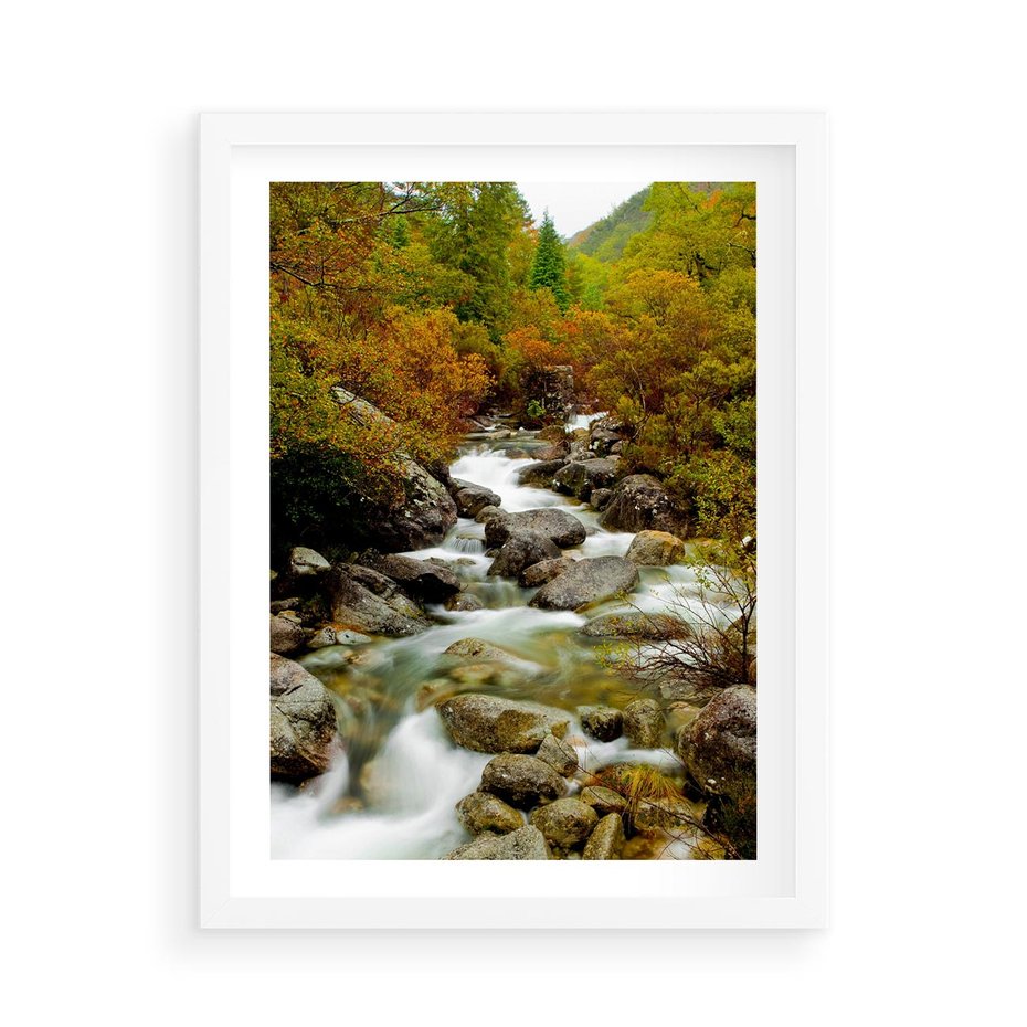 Plakat w ramie 50x70 - Śpiew Strumienia - strumień, górski - rama biała