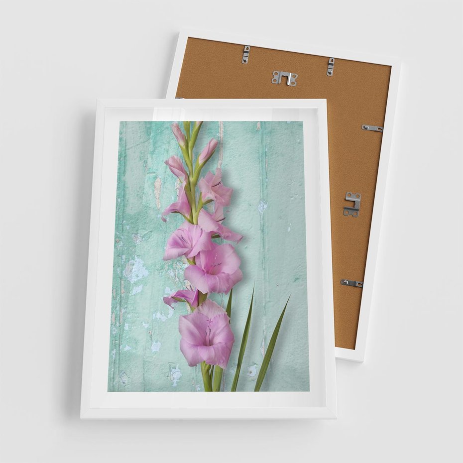 Plakat w ramie 50x70 - Piękno w delikatności - kwiaty, różowe - rama biała
