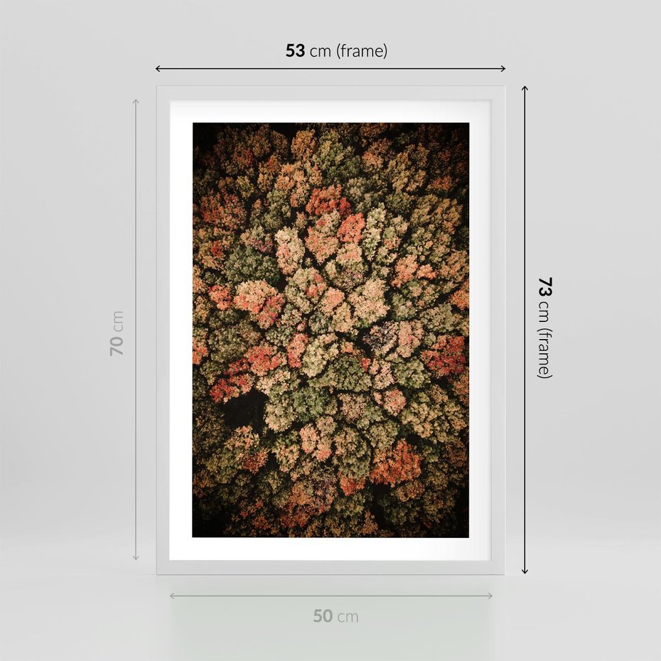 Plakat w ramie 50x70 - Jesień z Lotu Ptaka: Malowniczy Las - las jesienią z lotu ptaka - rama biała