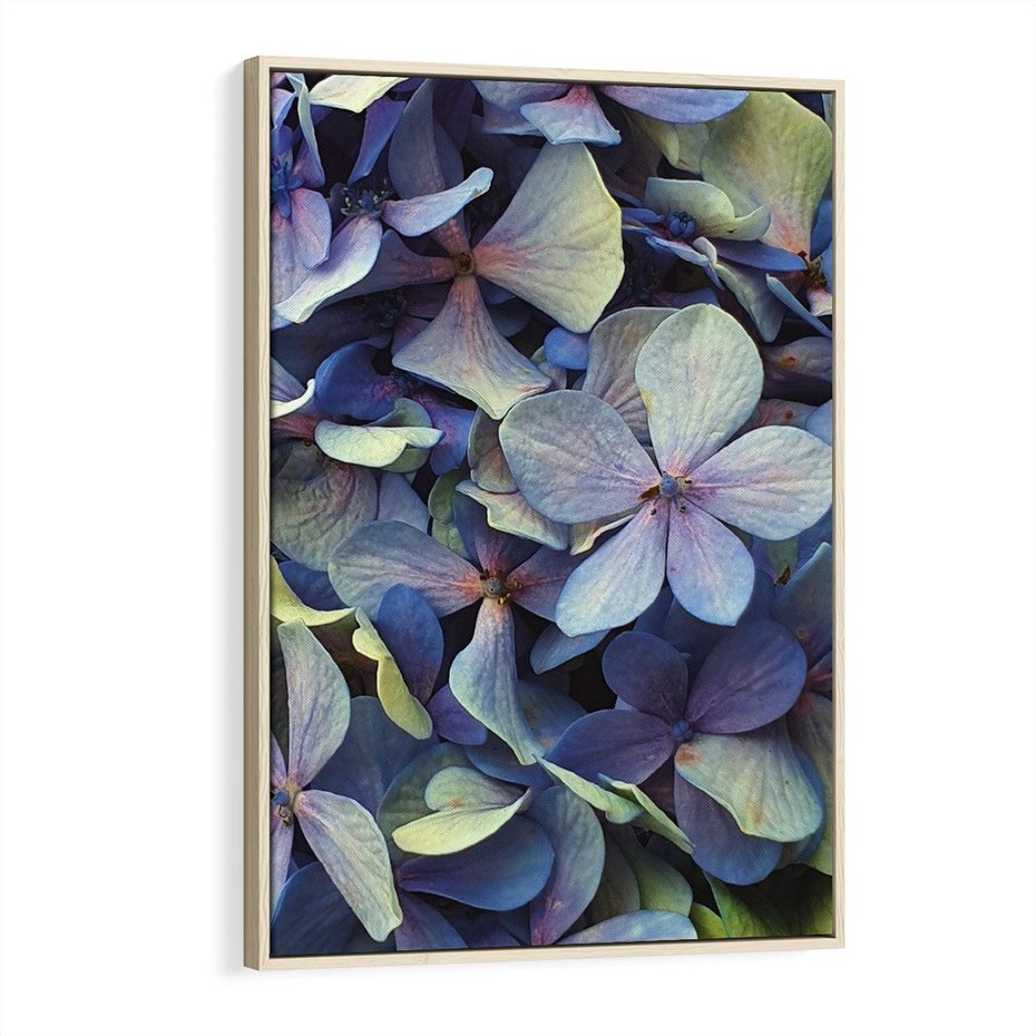 Obraz w ramie 70x100 - Hortensja - delikatność kwiatów - hortensja, kwiaty - rama drewno