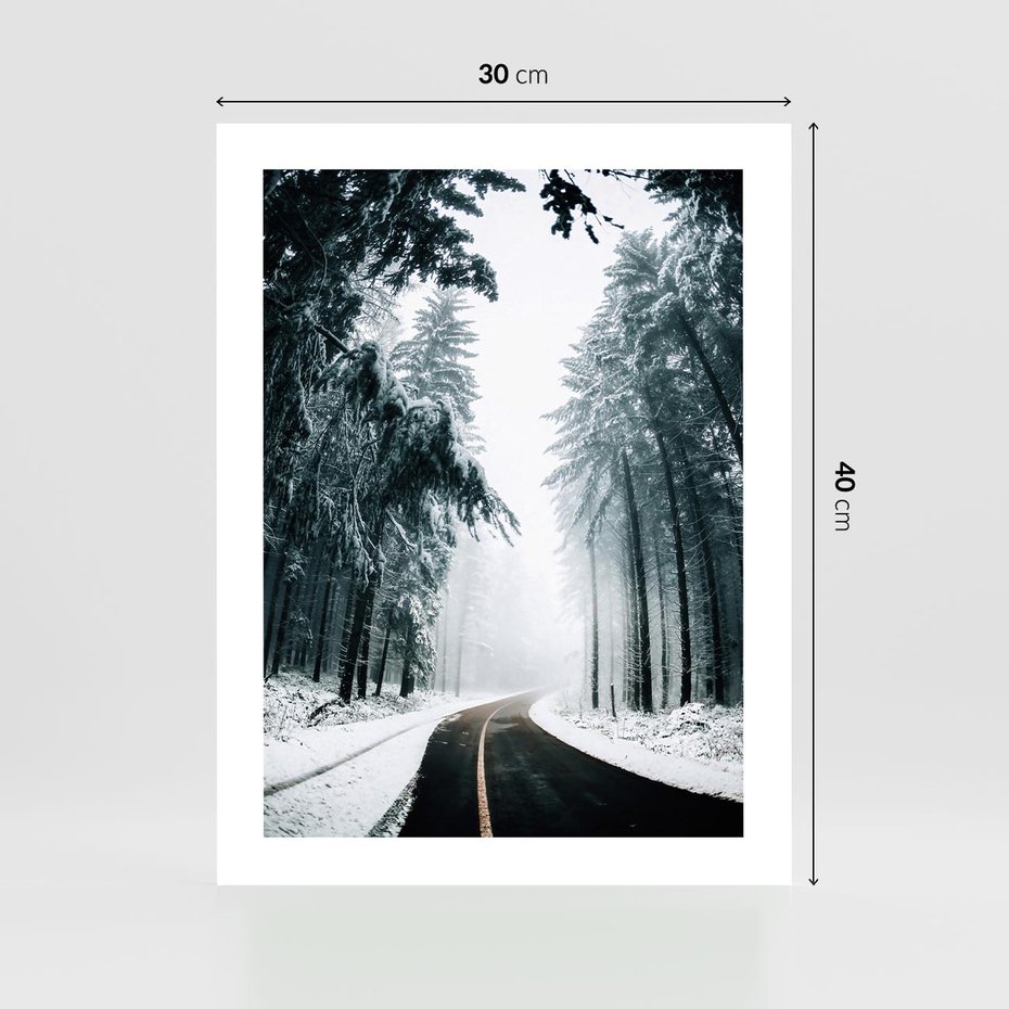 Plakat bez ramy 30x40 - Droga przez Zimowy Las - drzewa, śnieg