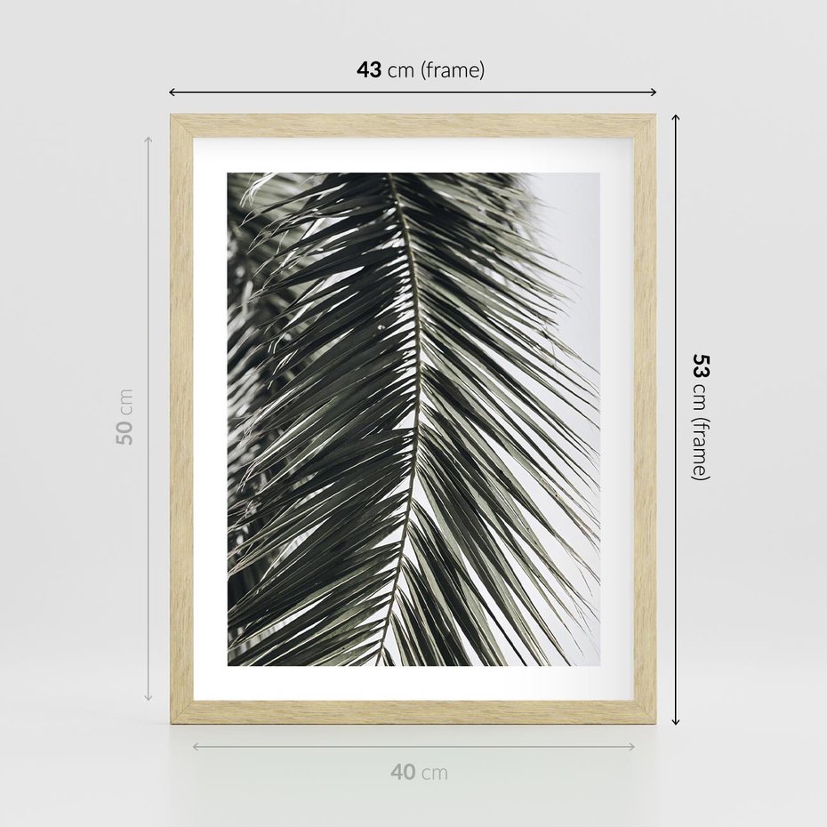 Plakat w ramie 40x50 - Liść Palmy: Egzotyczny Detal Natury - palma, liść palmy - rama drewno
