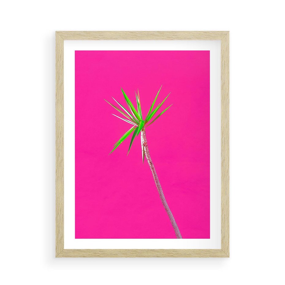 Plakat w ramie 50x70 - Retro Stylizacja - palma, liście - rama drewno