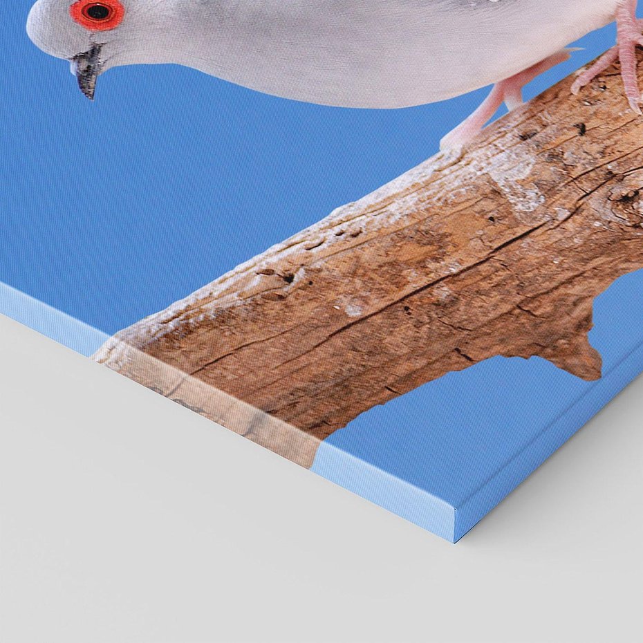 Obraz na płótnie 120x60 - Gołębie w locie - gołębie, gołąb