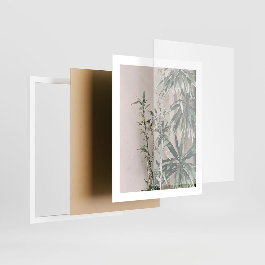 Plakat w ramie 40x50 - Egzotyczna Kompozycja - liście, rośliny tropikalne na tle ściany - rama biała