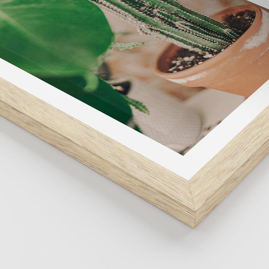 Plakat w ramie 50x70 - Boho Urok - kaktus w doniczce, gliniana doniczka - rama drewno