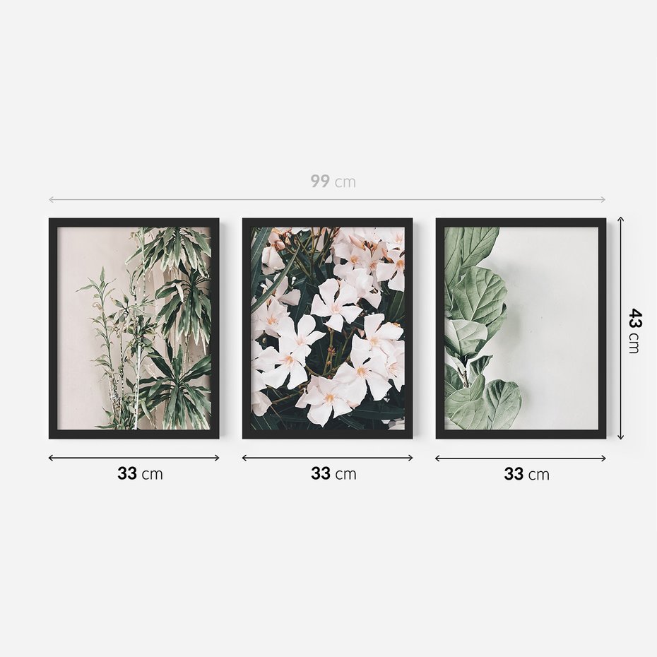 Zestaw obrazy w ramie 30x40 galeria - Liście, kwiaty, nowoczesny, styl - rama czarna