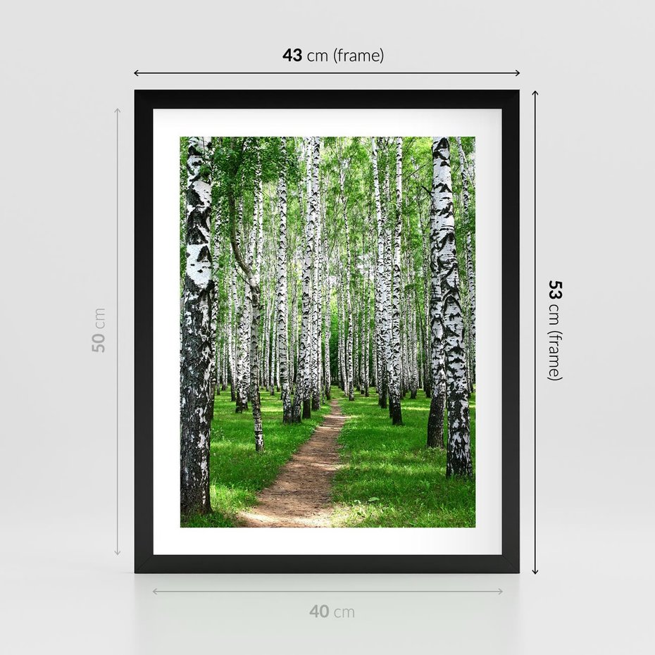 Plakat w ramie 40x50 - Bajkowy las pełen brzóz - las, brzozy - rama czarna